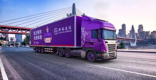 京东物流 从投资控股到行业整合，以道路货物运输为基的物流雄心