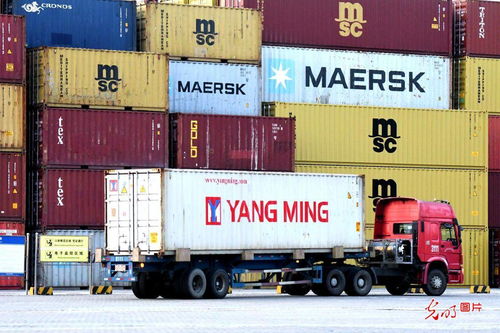 青岛港口外贸货运忙，道路运输助力畅通全球供应链