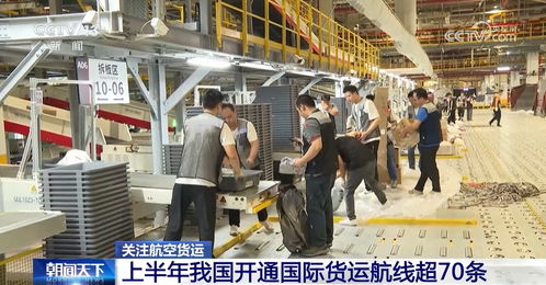 数说我国航空货运业高质量发展 货运航线网络越织越密 高效联动道路运输