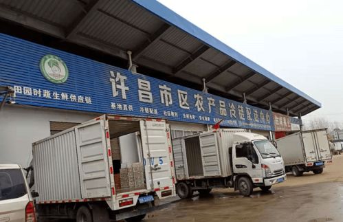 许昌鲜之达货运新模式获三部委肯定，智慧物流助力保供稳价惠民生