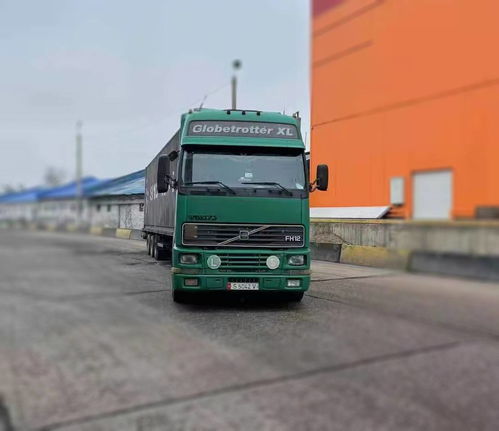 2021年新疆国际公路运输贸易强劲增长 道路货物运输驱动进出口额飙升63.7%